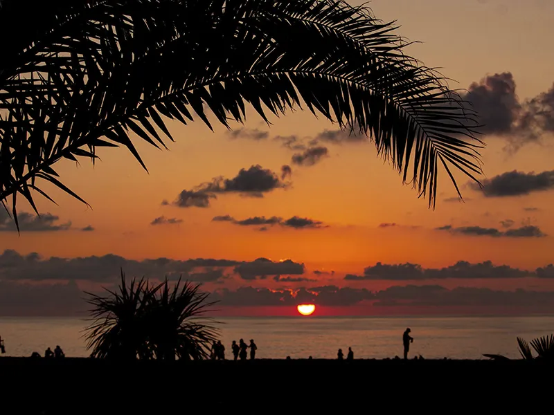 Sonnenuntergang am Strand von Batumi mit Palmen